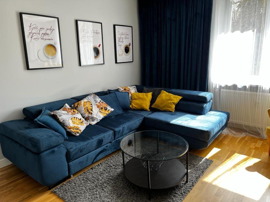 Family & Business Elegant Apartments Ul Astronautow Centrum Downtown - 3 Bedroom, Parking Kielce Exteriér fotografie